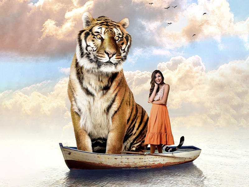 PhotoDirector Mobile Pack :<br>Surreal Art